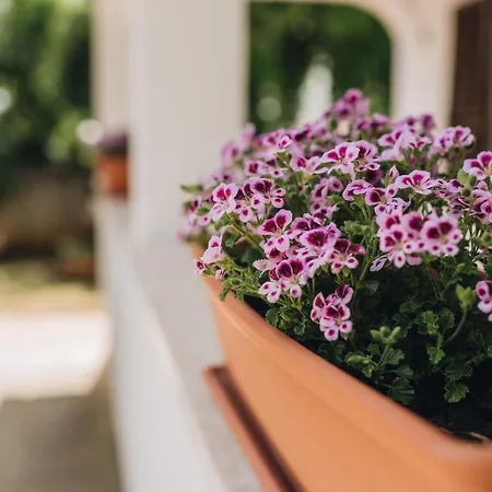 App Ana * Poreč