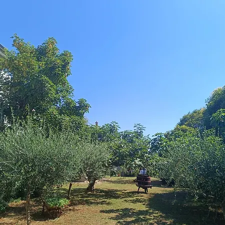 App Ana Apartamento Poreč
